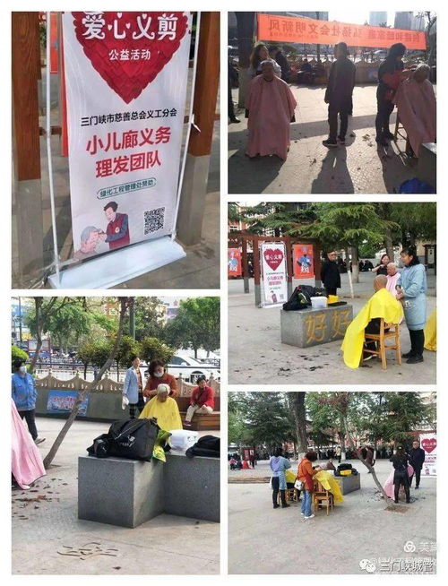 市綠化工程管理處 學黨史辦實事，優化工程管理服務惠民生